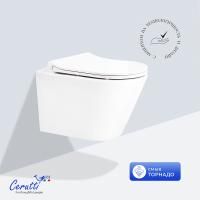 Унитаз подвесной Ceruttispa ИРЕНЕО (IRENEO) Aria Tornado CT12148 безободковый (490х340х360)