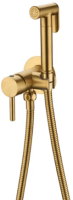 Смеситель встраиваемый с гигиеническим душем Grocenberg GB001 Золотой брашированный