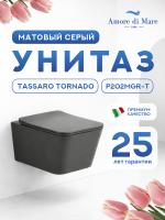 Унитаз подвесной безободковый Amore di Mare Tassaro Tornado P202MGR-T Matte Grey, прямоугольный серый матовый, антивсплеск, фарфоровый, быстросъемное сиденье дюропласт с крышкой микролифт