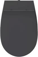 Сиденье для унитаза ISVEA Sentimenti Neo с крышкой с микролифтом антрацит матовый 40D80522I-S