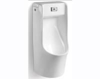 Писсуар CeramaLux X529P