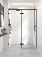 Душевая дверь распашная Veconi Premium Alassio B, 1300х2000, черный матовый, стекло прозрачное осветленное