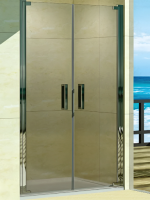 Душевая дверь WeltWasser WW 600K2-120