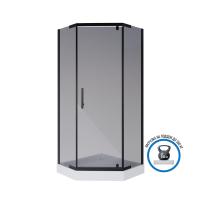 Душевой уголок Niagara Eco NG-010-14DT (100х100х195) низкий поддон(13см),черный,стекло тонированное,