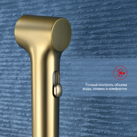 Гигиенический душ со смесителем Raglo R03.51.03, сатин золотой