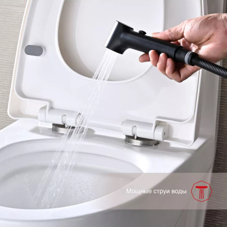 Гигиенический душ со смесителем Raglo R03.52.06, черный