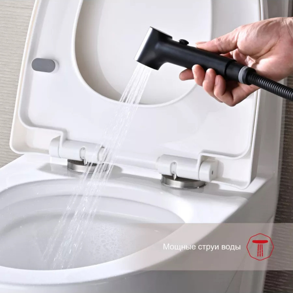 Гигиенический душ со смесителем Raglo R03.52.06, черный