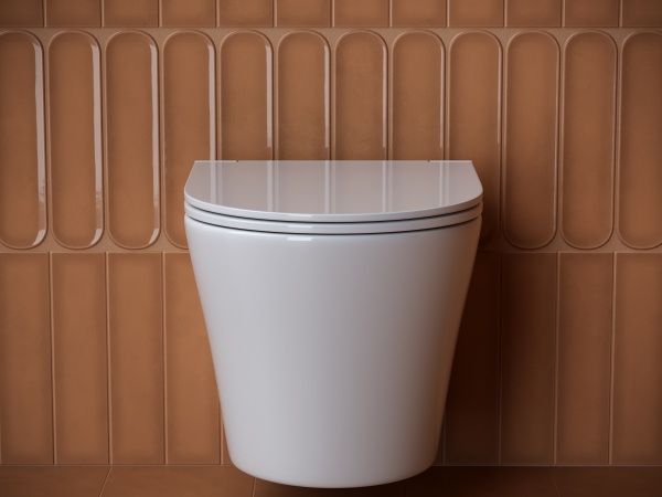 Подвесной унитаз Forma Rimless CERAMICANOVA CN3011