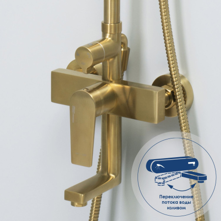 Душевой комплект для набора WasserKRAFT Aisch BK15501BG