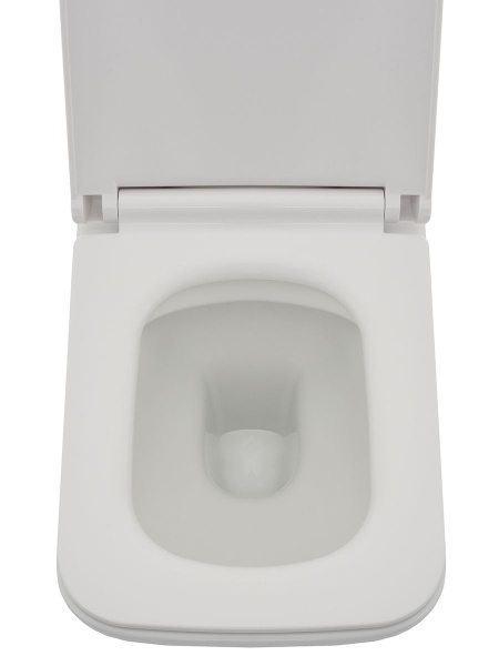 AQM2003 Унитаз подвесной с сиденьем SoftClose, технология смыва Rimless, скрытый крепеж. 530x365x360