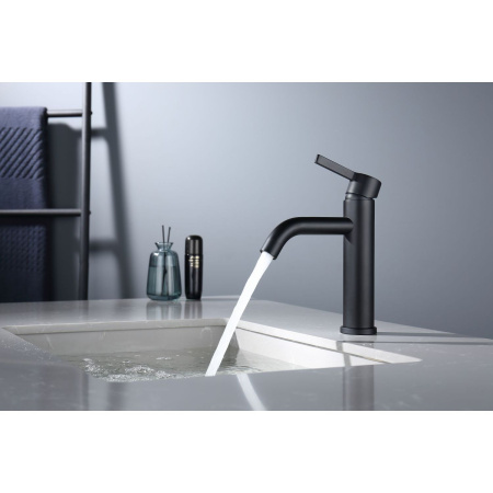 Смеситель для раковины Splenka S221.10.06, черный