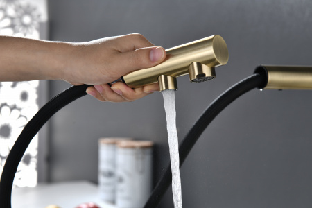 Смеситель для кухни Paulmark SERPENTINE Se213222-BR, бронза