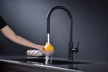 Смеситель для кухни Paulmark SENSO Se215180-AN, антрацит