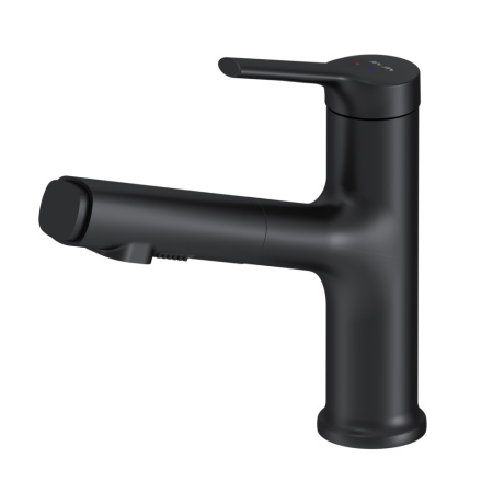 F85B02922 X-Joy S Смеситель для умывальника AM.PM с вытяжным изливом, черный