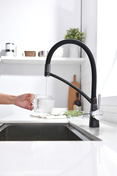 Смеситель для кухни Paulmark SIЕGEN Si213111-418, черный металлик