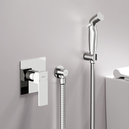 537510000 Gala Смеситель Damixa монтируемый в стену с гигиеническим душем, хром