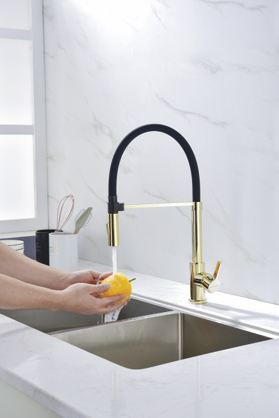 Смеситель для кухни Paulmark HALT Ha214021-G, золото