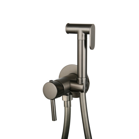 Смеситель встраиваемый Roxen Santi 500940-GM с гигиеническим душем