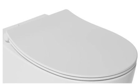 Сиденье для унитаза ISVEA Sentimenti Neo с крышкой с микролифтом -белый 40D80200I-S