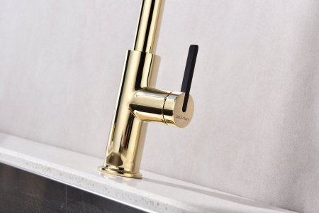 Смеситель для кухни Paulmark TORNADO To213402-G, золото