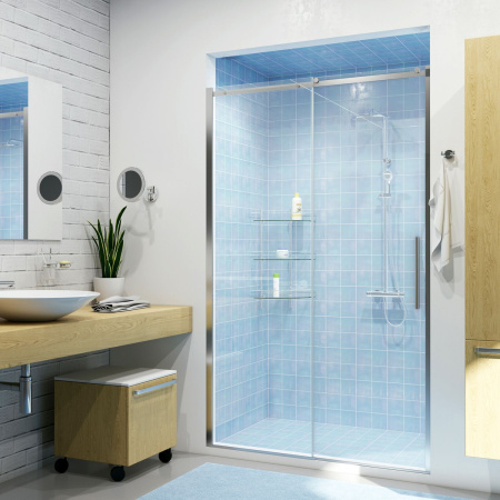 Душевая дверь WasserKRAFT Dinkel 58R30