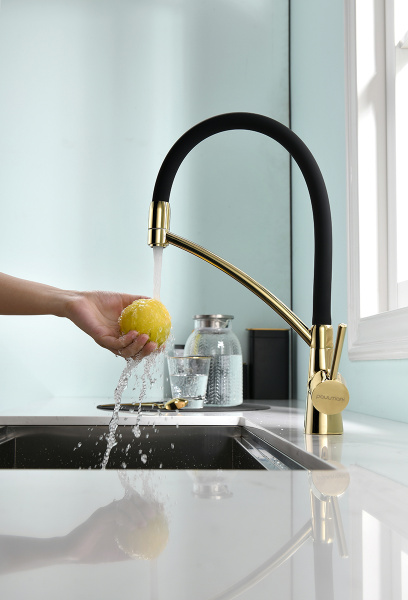 Смеситель для кухни Paulmark SIЕGEN Si213111-G, золото