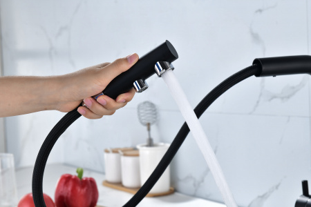 Смеситель для кухни Paulmark SERPENTINE Se213222-401(AN), антрацит