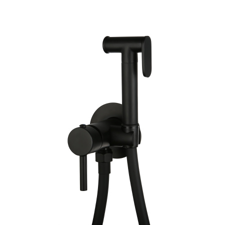 Смеситель встраиваемый Roxen Santi 500940-B с гигиеническим душем