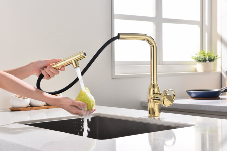 Смеситель для кухни Paulmark URBAN Ur213104-G, золото