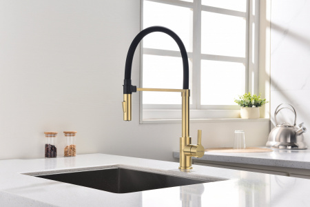 Смеситель для кухни Paulmark HALT Ha214021-SBG, светлое брашированное золото