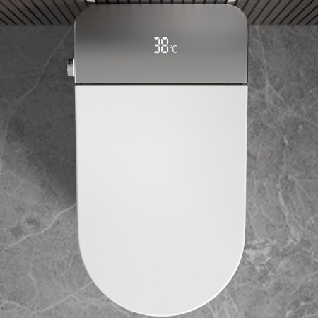 Унитаз ESTER Smart напольный с дистанционным управлением Ceruttispa CT10617 (680x400x470)