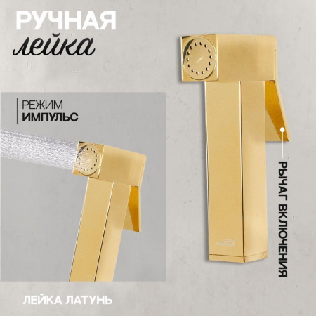 Смеситель встраиваемый с гигиеническим душем Hansberge H3077 Золото Глянец