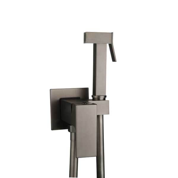 Смеситель встраиваемый Roxen Caspia 500960-GM с гигиеническим душем