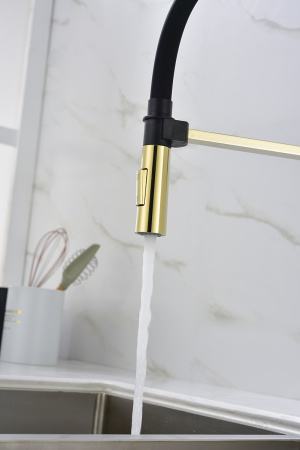 Смеситель для кухни Paulmark HALT Ha214021-G, золото