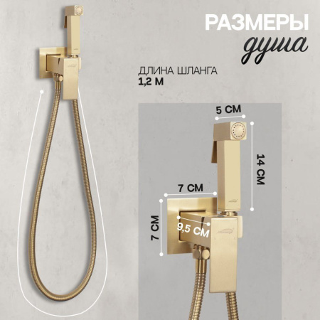 Смеситель встраиваемый с гигиеническим душем Hansberge H3077 Золото матовый