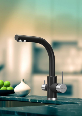 Смеситель для кухни Paulmark ESSEN Es213011-401, антрацит