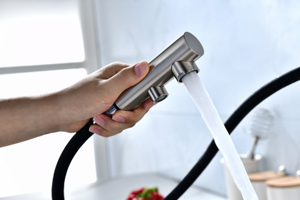 Смеситель для кухни Paulmark SERPENTINE Se213222-NI, никель