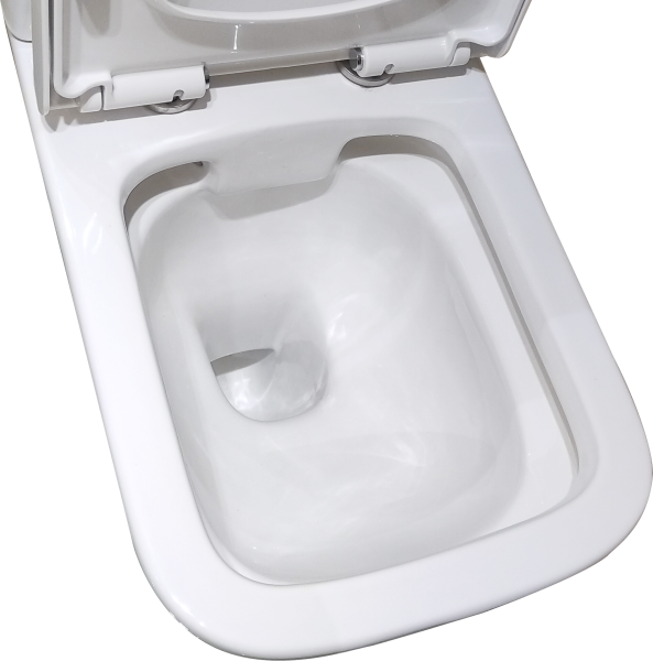 Унитаз Taliente Elegante EL35055 напольный с бачком