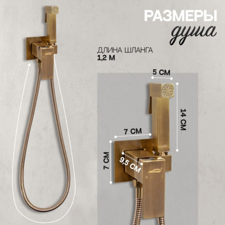Смеситель встраиваемый с гигиеническим душем Hansberge H3077 Бронза