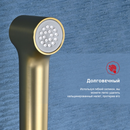 Гигиенический душ со смесителем Raglo R03.51.03, сатин золотой