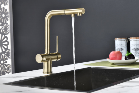 Смеситель для кухни Paulmark SERPENTINE Se213222-BR, бронза