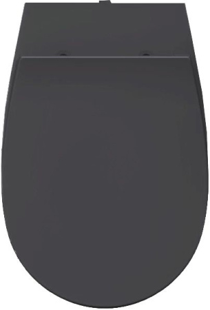 Сиденье для унитаза ISVEA Sentimenti Neo с крышкой с микролифтом антрацит матовый 40D80522I-S