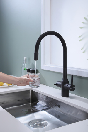 Смеситель для кухни Paulmark SALIX Sa213419-401, антрацит полностью