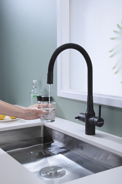 Смеситель для кухни Paulmark SALIX Sa213419-401, антрацит полностью