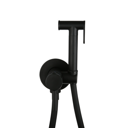 Смеситель встраиваемый Roxen Santi 500940-B с гигиеническим душем