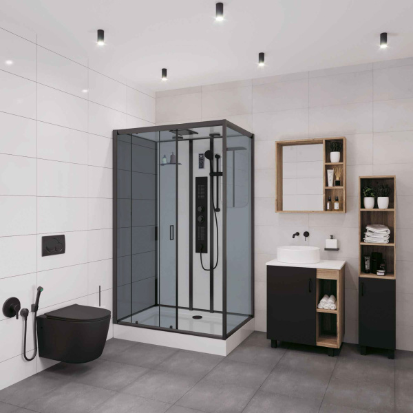 Душевая кабина Niagara Premium NG-6912-01GQR BLACK (120х80х210) низкий поддон(16 см),черный,стекло тонированное,5 мест