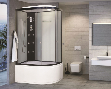 Душевая кабина Niagara Ultra NG-1910-01L (120х80х220) высокий поддон(48см),черный,стекло тонированное,4 места