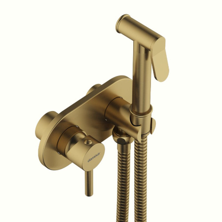 214000000 Option Смеситель Damixa монтируемый в стену, с гигиеническим душем, бронза