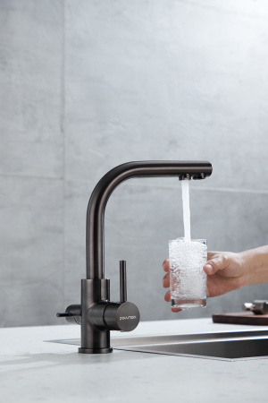 Смеситель для кухни Paulmark ESSEN Es213011-GM, вороненая сталь