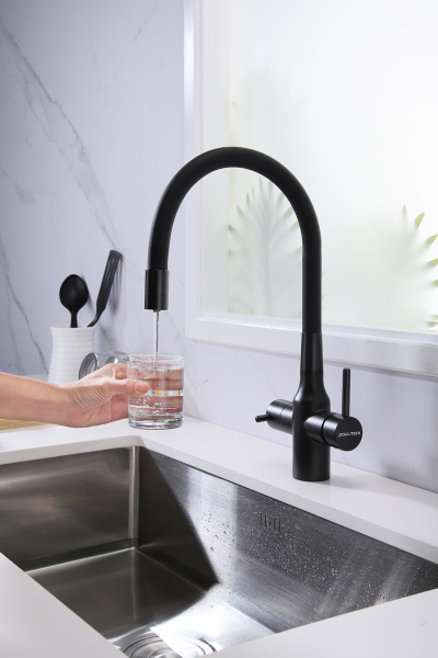 Смеситель для кухни Paulmark SALIX Sa213419-418(BLM), черный металлик